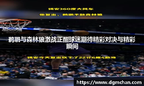 鹈鹕与森林狼激战正酣球迷期待精彩对决与精彩瞬间